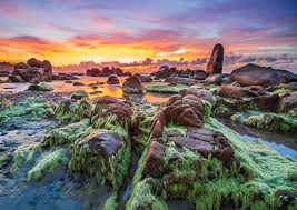 Vietnam Work Permit Conditions Vietnam Visa Tourist