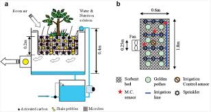 Phyto Purification Systems Wbdg Whole Building Design Guide