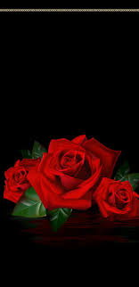 Download cute flower images and photos. Pin By Debby On Roses Wallpaper 2 Rose Wallpaper Cute Flower Wallpapers New Flower Wallpaper
