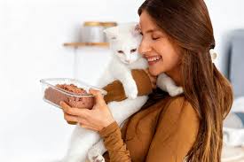 Рецепты влажного корма и сушёных вкусняшек для кошек