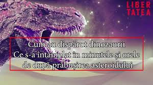 Până acum, oamenii de ştiinţă erau de părere că impactul terrei cu un meteorit a dus la dispariţia dinozaurilor. Cum Au DispÄƒrut Dinozaurii Ce S A Intamplat In Minutele È™i Orele De DupÄƒ PrÄƒbuÈ™irea Asteroidului Youtube