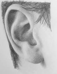 How To Draw A Realistic Ear Step By Step Drawing Demonstration Realistic Drawings Ear Art Easy Realistic Drawings