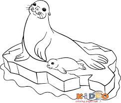 Galapagos fur seal coloring page. Pin By Danuta Cichura On Kolorowanki In 2021 Coloring Pages For Kids Coloring For Kids Colouring Pages