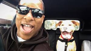 Stephanie McHenry (@PawPride4)