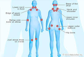Imagine that you are in an english speaking country and you need to see a doctor, for example. Illustration Picture Of Abdominal Area Abdomen Structure And Function