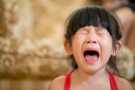 Image result for cant handle emotions