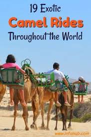 Get on my camel and ride. Camels