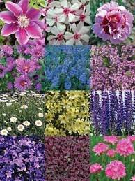 While they look great inside, they look even better in your backyard. Lamp Post Garden Bluestone Perennials