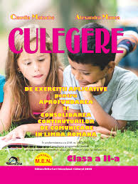 Sa se afiseze cuvintele din textul s care incep si se termina cu aceeasi litera. Culegere C L R Clasa A Ii A Flip Ebook Pages 1 50 Anyflip Anyflip