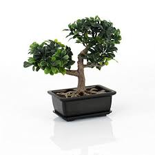 Kunstlicher Buchs Bonsai In Dekoschale 20 Cm Kunstbonsai Dekoideen Online Finden Bonsai Pflanzen Dekoschale