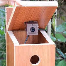 Wireless Bird Box Camera Asin Gb1e3b3kr