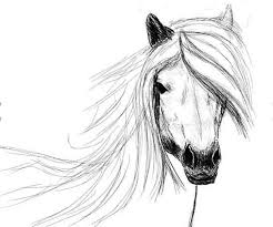 Dessinons la tête de notre cheval. Comment Dessiner Un Cheval Artacademie