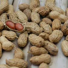 Contoh sayur jenis polong adalah buncis, kacang panjang, kapri, kedelai dan kacang merah. 6 Manfaat Kacang Tanah Untuk Kesehatan Dan Kecantikan Bisa Mencegah Stroke Ragam Bola Com