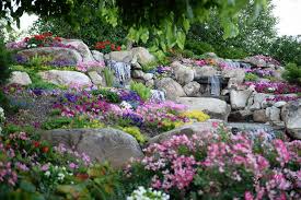 Photo Credit Vivian Photography Beautiful Landscaping Purple Petunias Surrounding Outdoor Waterfall Outdoor Waterfalls Rock Garden Photography