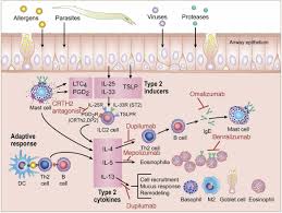 Most people who have surgery see an improvement, but it's common for polyps to grow back, usually within a few years. Current And Future Treatments Of Rhinitis And Sinusitis The Journal Of Allergy And Clinical Immunology In Practice