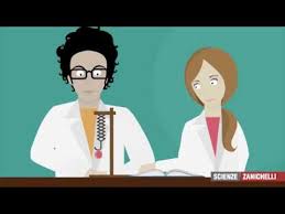 I materiali per i quali la legge di hooke è un'utile approssimazione del. Laboratorio Comportamento Elastico Di Una Molla Ruffo Zanichelli Youtube