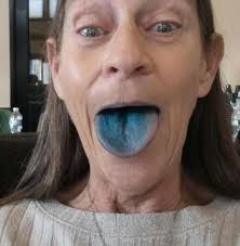 rockhounding in south haven michigan