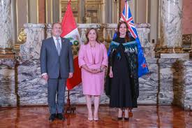 Image result for Oldenlandia verrucitesta