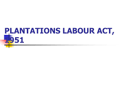 Minister means the minister charged with the responsibility for public and bank holidays.and, section 8 of the holidays act 1951 provides that: Plantations Labour Act Ppt Video Online Download