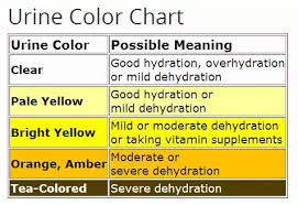 What Are Some Possible Causes For My Constant Dehydration