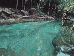 Создано в google моих картах. Dc No Twitter Taman Rimba Teluk Bahang Pulau Pinang Visitpenang Https T Co Akk7y9u4iz