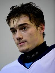 Livonia Stevenson hockey nips Trenton in playoff-like tilt, 4-2