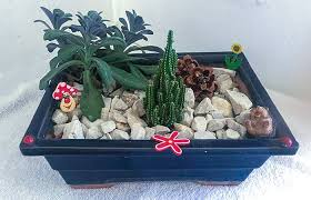 Buy succulent plants online at bestseedsonline.com. 29 Cutest Planter Ideas For Succulents Learn To Create Beautiful Things