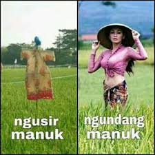 Kata Bijak Lucu Sunda Photos Facebook