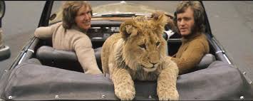 Christian the lion was a lion born in captivity and purchased by australian john rendall and anthony ace bourke from harrods department st. Christian The Lion Endangered Living