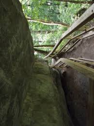 cedar sink trail (mammoth cave national