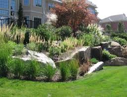 Boulder Pictures Gallery Landscaping Network