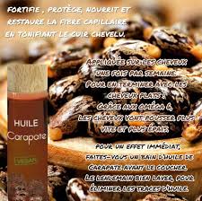 Huile Carapate Nourrir Plat Huile