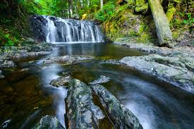 Coal Lake South Campground - Wetaskiwin, Alberta