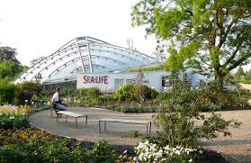 Der botanische garten ist derzeit aufgrund der neuen bayerischen infektionsschutzmaßnahmenverordnung (8. Berggarten Wikipedia