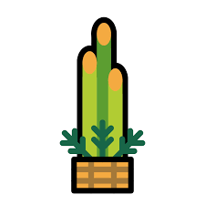 Pine Decoration