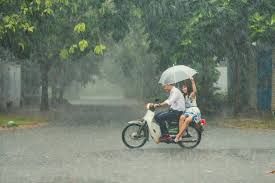 Những bức ảnh tuyệt đẹp này sẽ khiến bạn nhận ra, trong mưa, cuộc đời vẫn dịu dàng đến thế