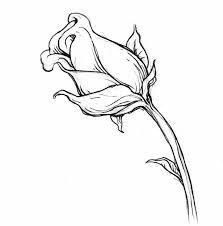 C'è chi sosteneva fosse troppo difficile… come mai ci siamo riusciti tutti?!? Disegni A Matita Facili Bocciolo Rosa Parte Gambo Piccola Foglia Lato Bianco Nero Disegni A Matita Disegni Fiori Disegnati A Matita