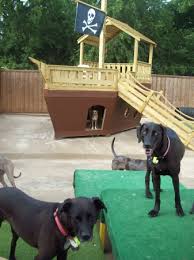 Online shopping from a great selection at movies & tv store. Benny S Dog Resort In Carrollton Texas Tx