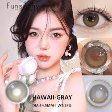 FUNSACHY 2pcs Brown Lenses Eyes Contacts Korean Natural Lenses Colored  Contact Lenses Students Eyes Gray Beautiful Pupil Yearly