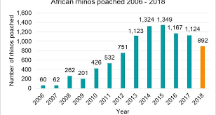 poaching numbers conservation save the rhino international