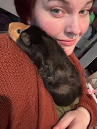 Teddie was busy loving