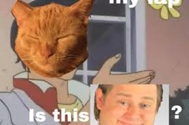 17 Memes That Ll Only Make Sense To People Who Look At A Lot Of Memes Memes Knowledge Funny