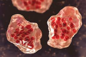 57 new measles cases reported in Pennsylvania in last week