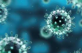 The best way to prevent flu is by getting a flu vaccine each year. What Bacteria Causes Flu Virus