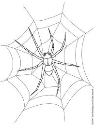 Print and color halloween pdf coloring books from primarygames. Spider Coloring Page Coloring Pages Insect Coloring Pages