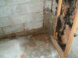 Over time, this form of water infiltration may lead to concrete failure. Basement Waterproofing Solutions For Wet Basements Thumb And Hammer