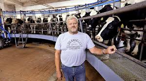 Heute gibt es hochleistungskühe, die täglich bis zu 50 kg milch geben, worin enthalten sind: Landwirte Verdienen Mit Biogas Kuh Mist Bringt Mehr Geld Als Kuh Milch Regional Bild De