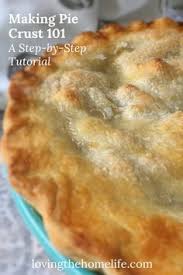 Being a savoury pie, steak and kidney pie are prepared by mixing diced kidney and beef with brown gravy and fried onion. Pin On Homemade Pie Crust Recipe