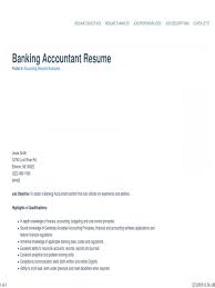 format  great sample resume.pdf