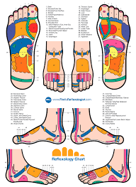 reflexology acupressure chart for the feet reflexology